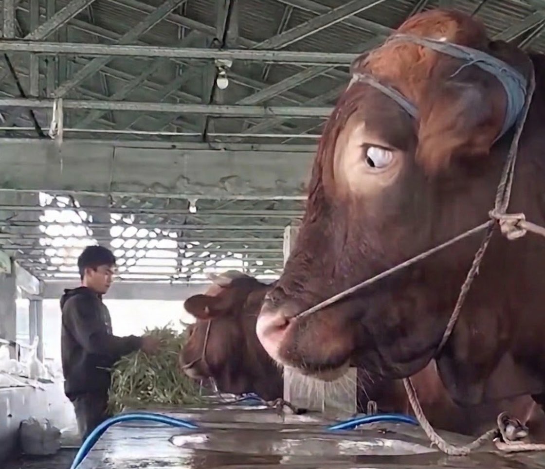 berry🇹🇷 tweet media