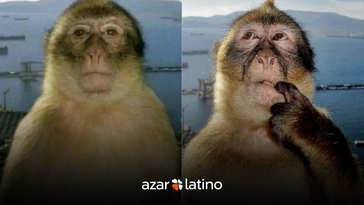 AzarLatinoPy tweet media
