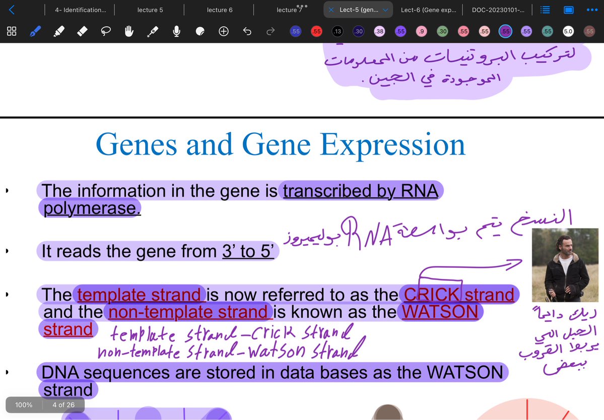 دانتي tweet media