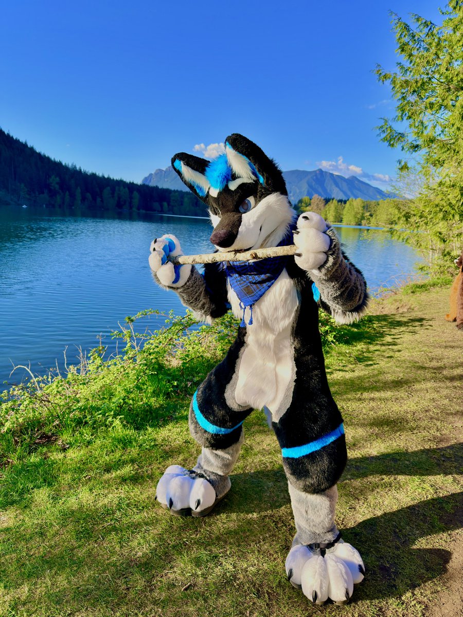 Atom the Wolf tweet media