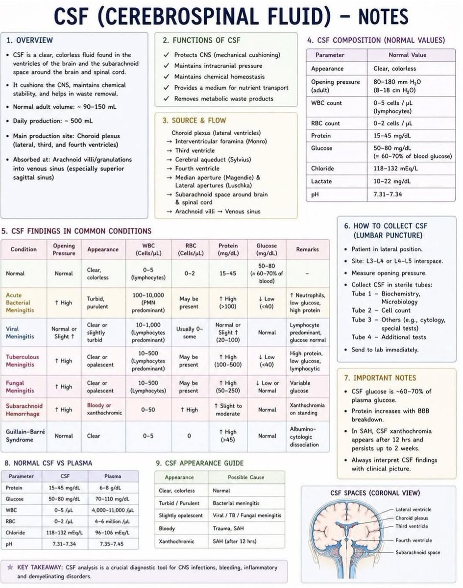 This infographic provides a comprehensive overview of Cerebrospinal ...