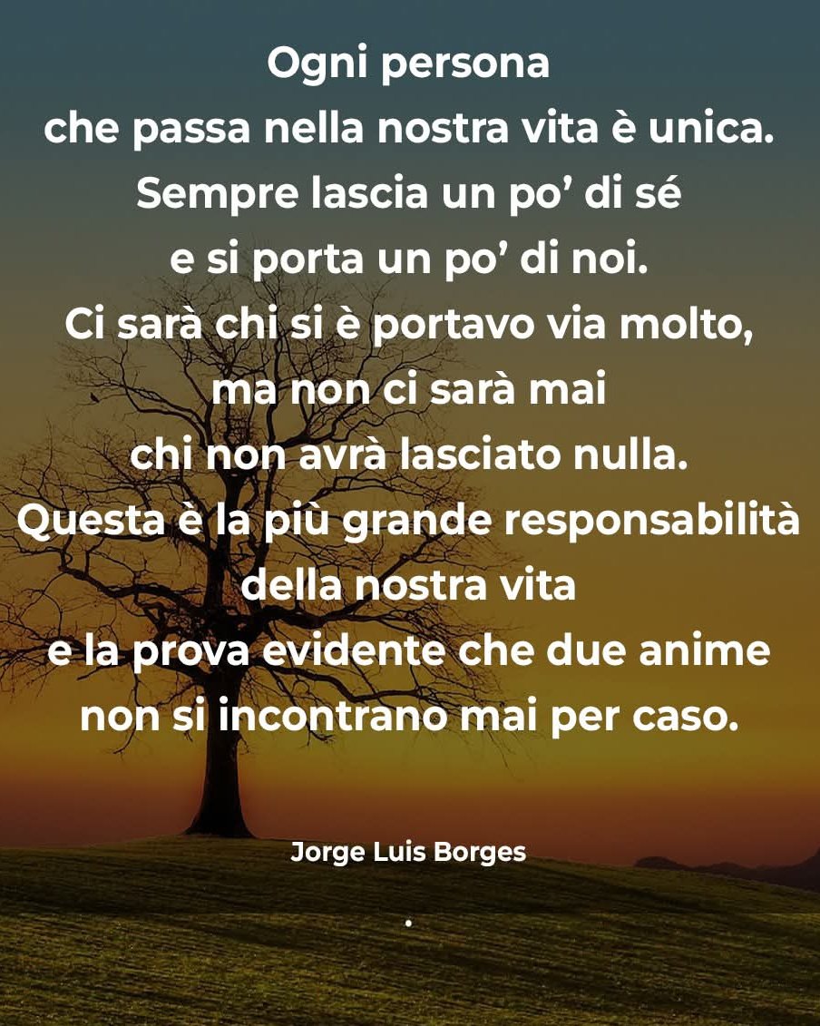 Max_6_9 ⚪⚫ tweet media