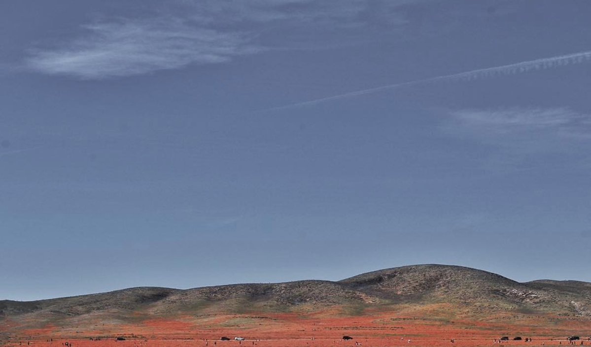 Ξastern_oa (Bobby) tweet media