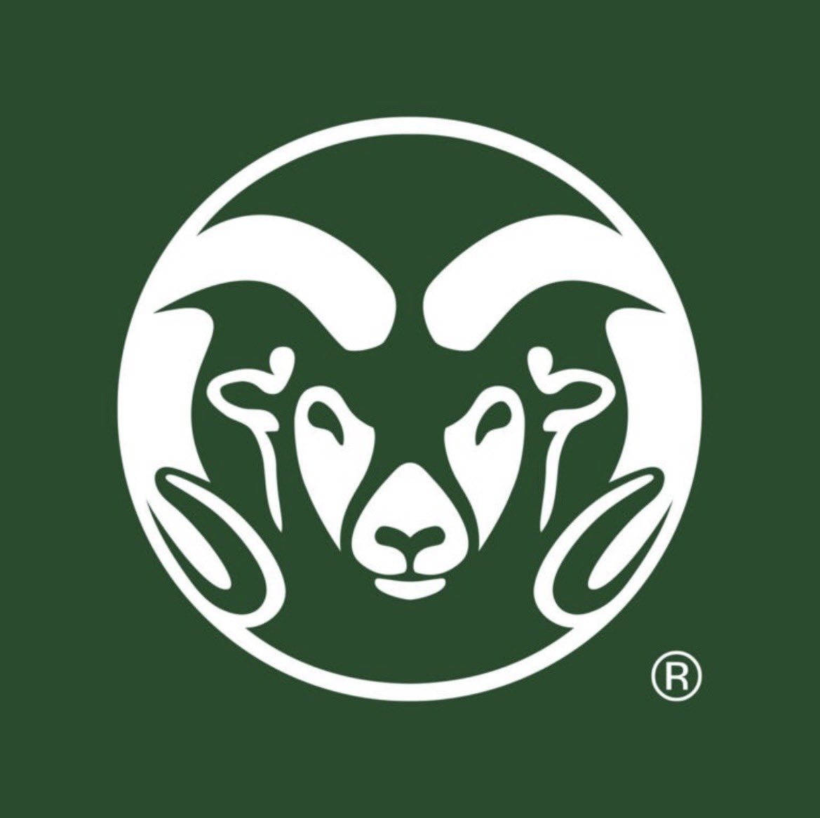 4⭐️ 𝐂𝐚𝐦𝐞𝐫𝐨𝐧 𝐒𝐲𝐝𝐧𝐨𝐫 ’𝟐𝟖 tweet media