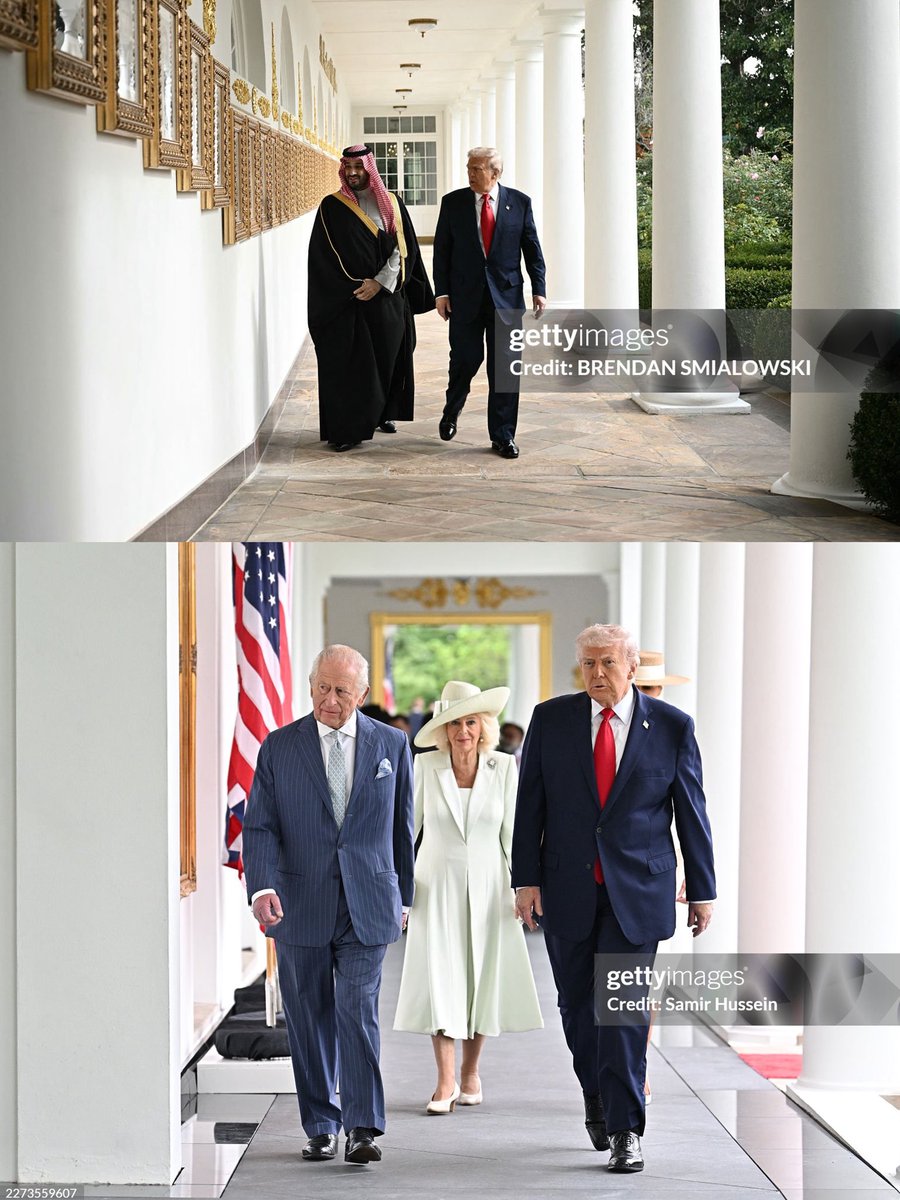 johnny maga tweet media