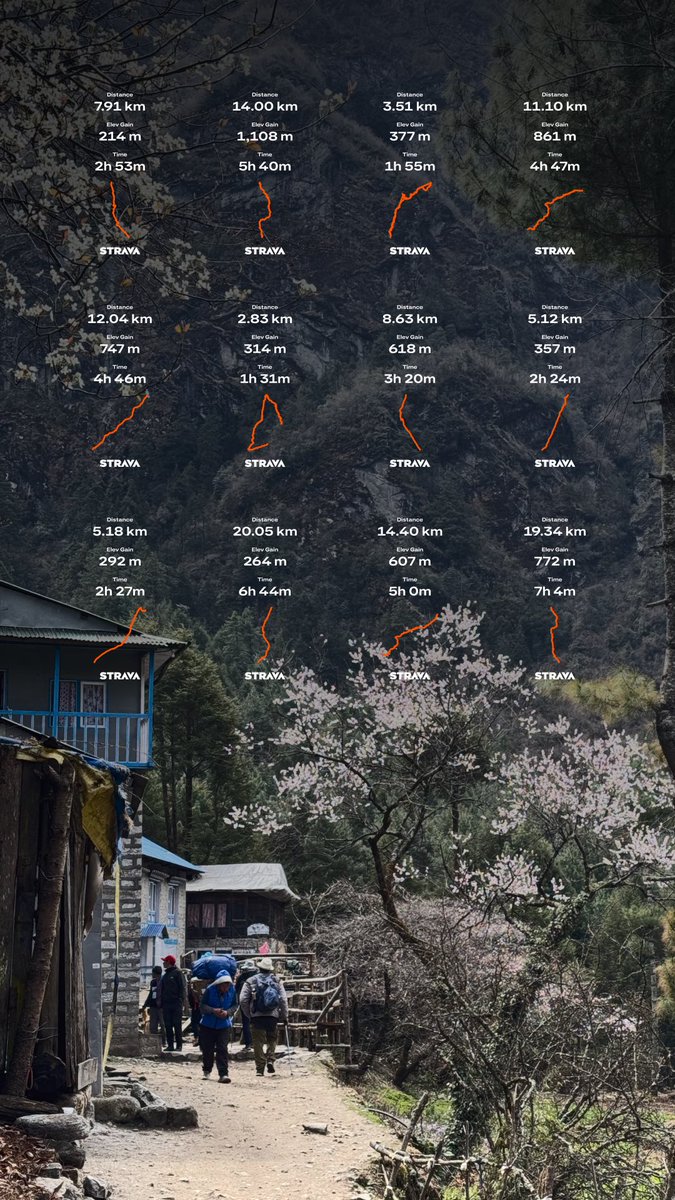 varun ㋡㋡ tweet media