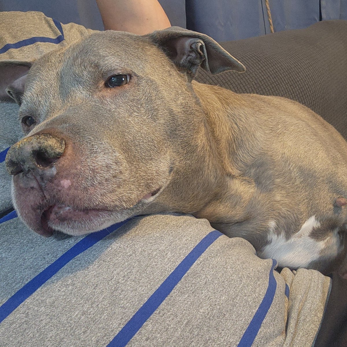 The Positive Promoter tweet media