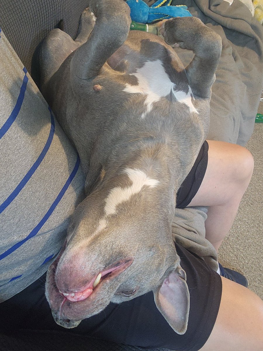 The Positive Promoter tweet media