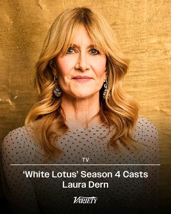 Gay Not Queer tweet media