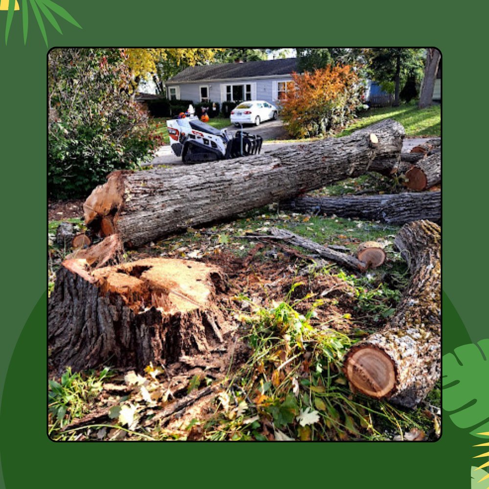 fjtreeservices's tweet image. Our expert crew delivers reliable tree cutting that keeps your landscape clean and hazard-free. We focus on quality work and fast turnaround so you can enjoy your yard again. Get your project started right away. #TREECARE #TreeCutting woodstocktreecutting.com