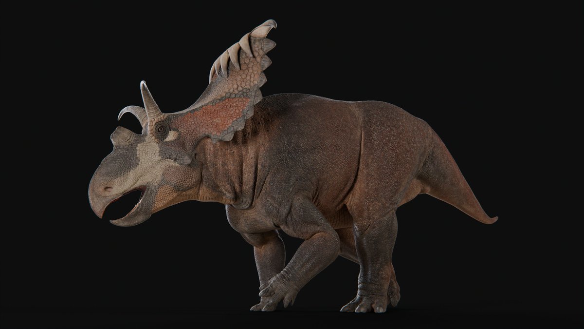 XtinctDesign's tweet image. Kosmoceratops richardsoni

#kosmoceratops #paleoart #blender3D