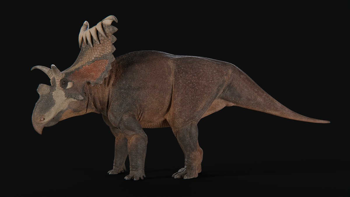 XtinctDesign's tweet image. Kosmoceratops richardsoni

#kosmoceratops #paleoart #blender3D