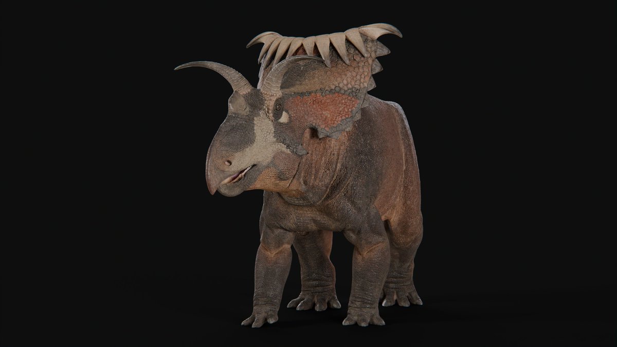 XtinctDesign's tweet image. Kosmoceratops richardsoni

#kosmoceratops #paleoart #blender3D