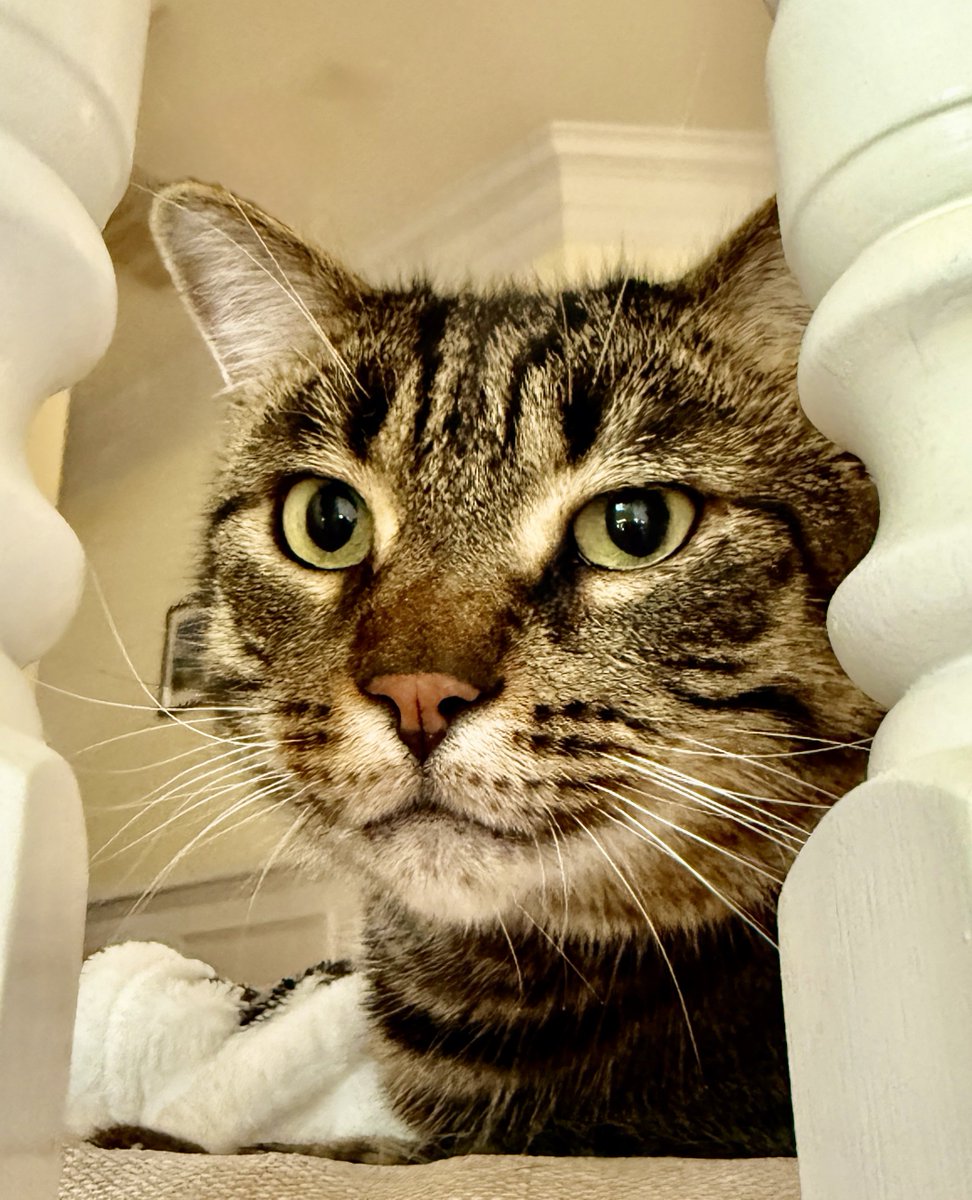 For the love of Missy. tweet media