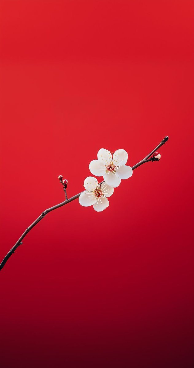rbradience80835's tweet image. Red #wallpapers for red lovers.
#lockscreen #aesthetic #Red #premium
