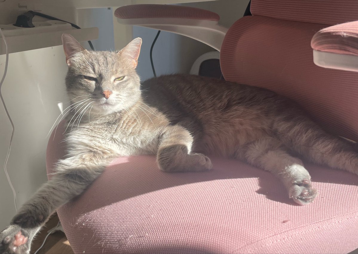 hina 🍉 tweet media