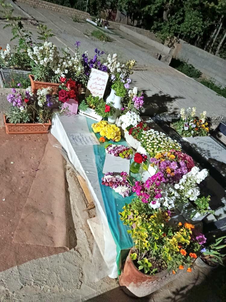 چَکا🇮🇷 tweet media