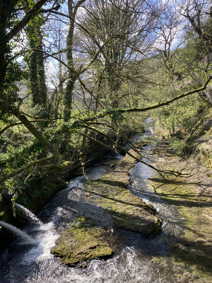 DfsStubbs's tweet image. #streams and #springs running into the #River #Wye in #MillersDale in #Derbyshire #Dales #PeakDistrict