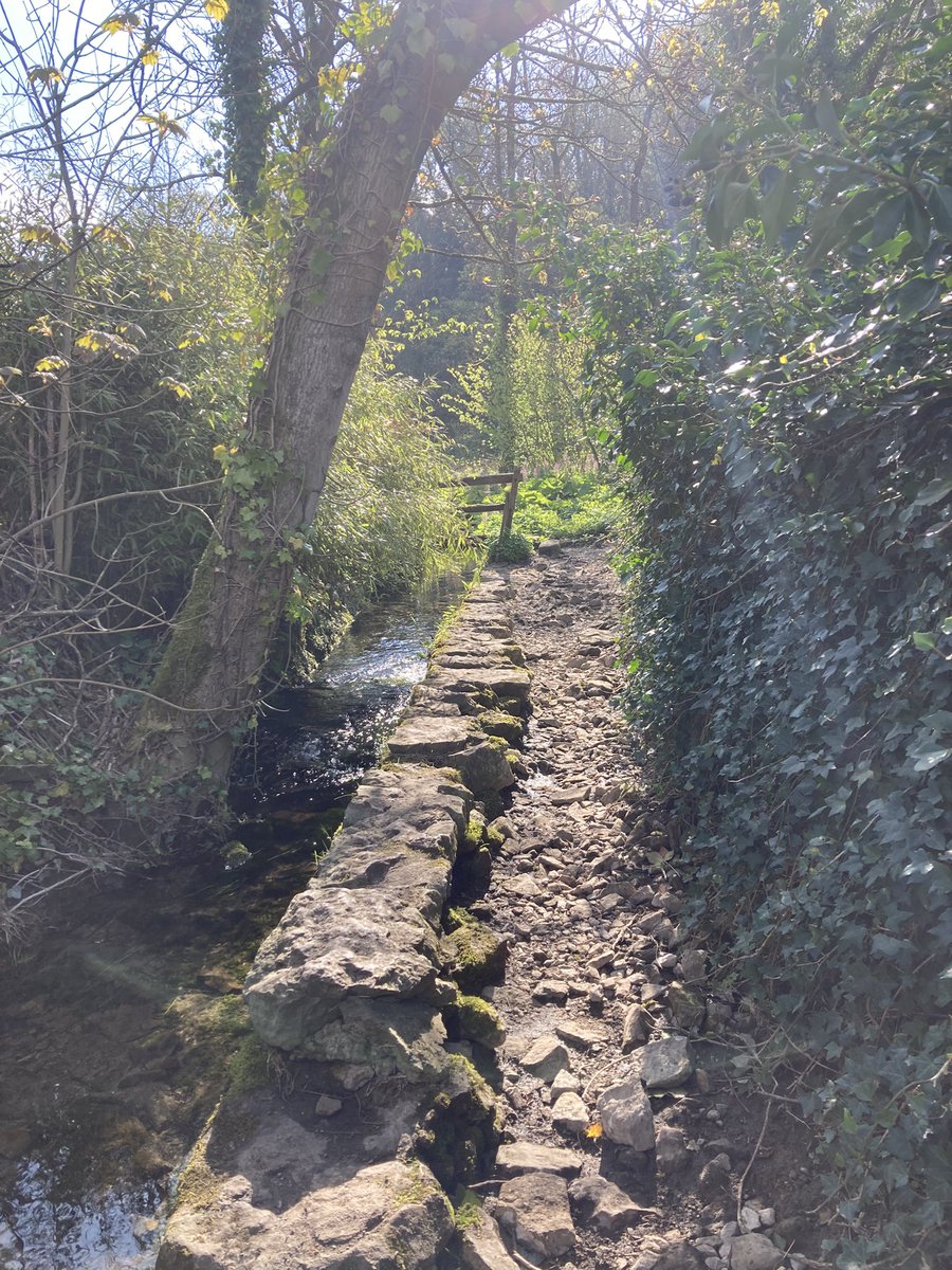 DfsStubbs's tweet image. #streams and #springs running into the #River #Wye in #MillersDale in #Derbyshire #Dales #PeakDistrict