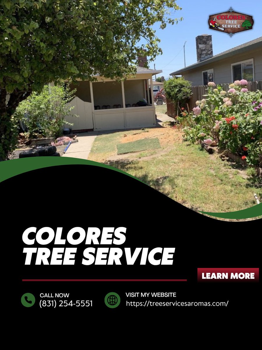 ColoresTree's tweet image. Transforming outdoor spaces through thoughtful landscaping is what I do best. I focus on blending beauty and function to perfectly match your vision. Send me a message to start planning! #Landscaping #ProfessionalCare #ReliableService
treeservicesaromas.com