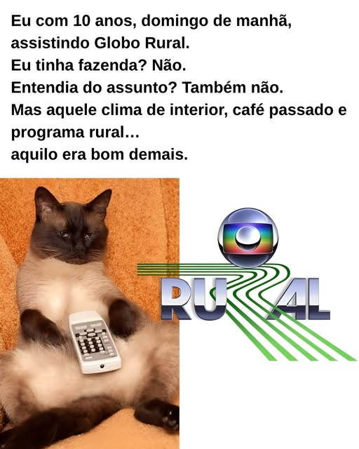 O Pinto Marcando ® tweet media