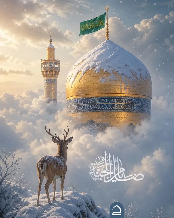 🍃🍃 🌷هجر الفؤاد🌷🍃🍃 tweet media