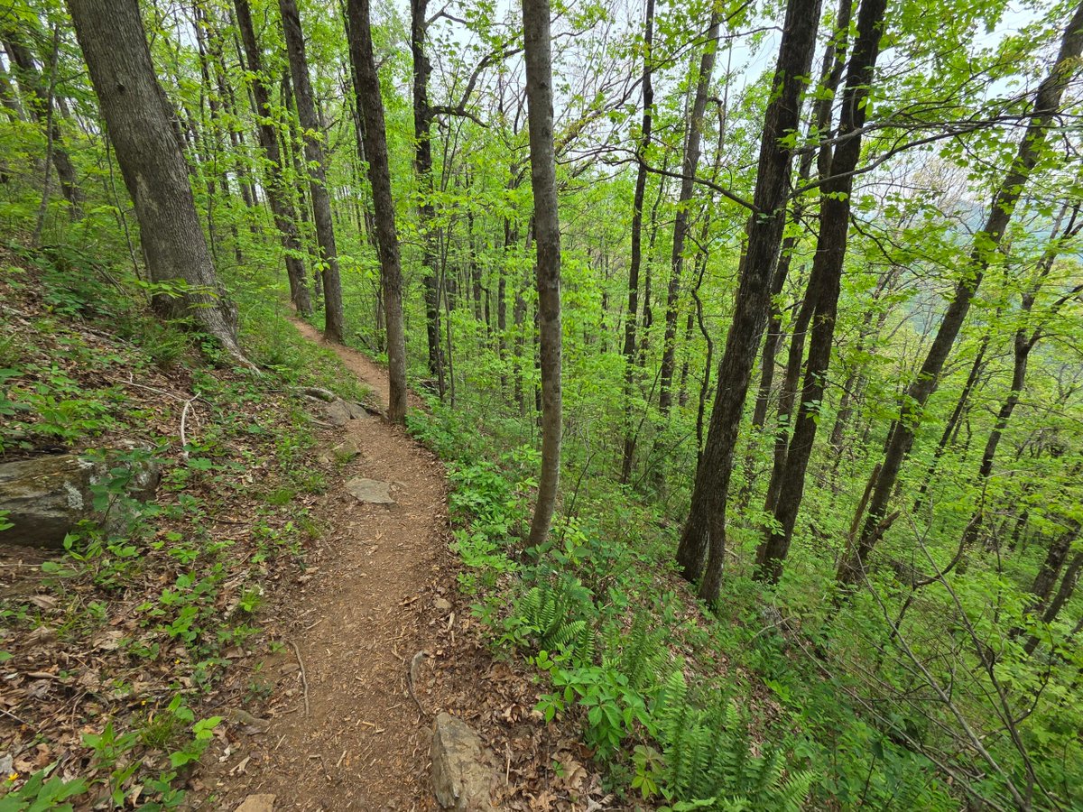 tynan's tweet photo. New Post on https://t.co/1ubXCLJytr — My Appalachian Trail Adventure https://t.co/B5ChmBFVwv https://t.co/CxSxUjEv66