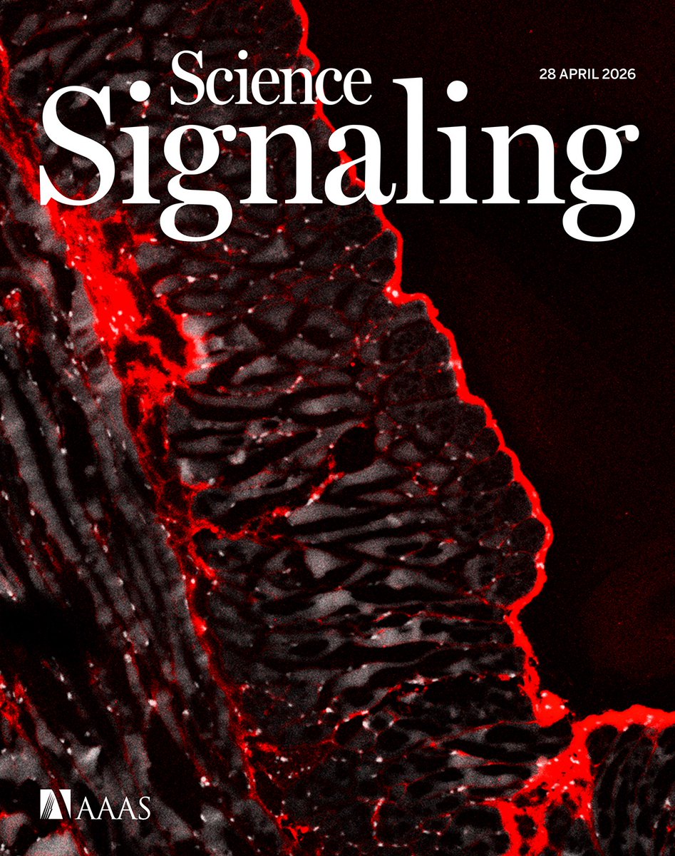 Science Signaling tweet media