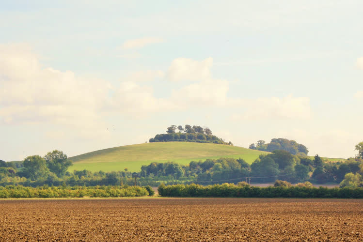 Experience Oxfordshire tweet media