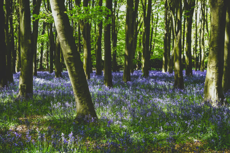 Experience Oxfordshire tweet media