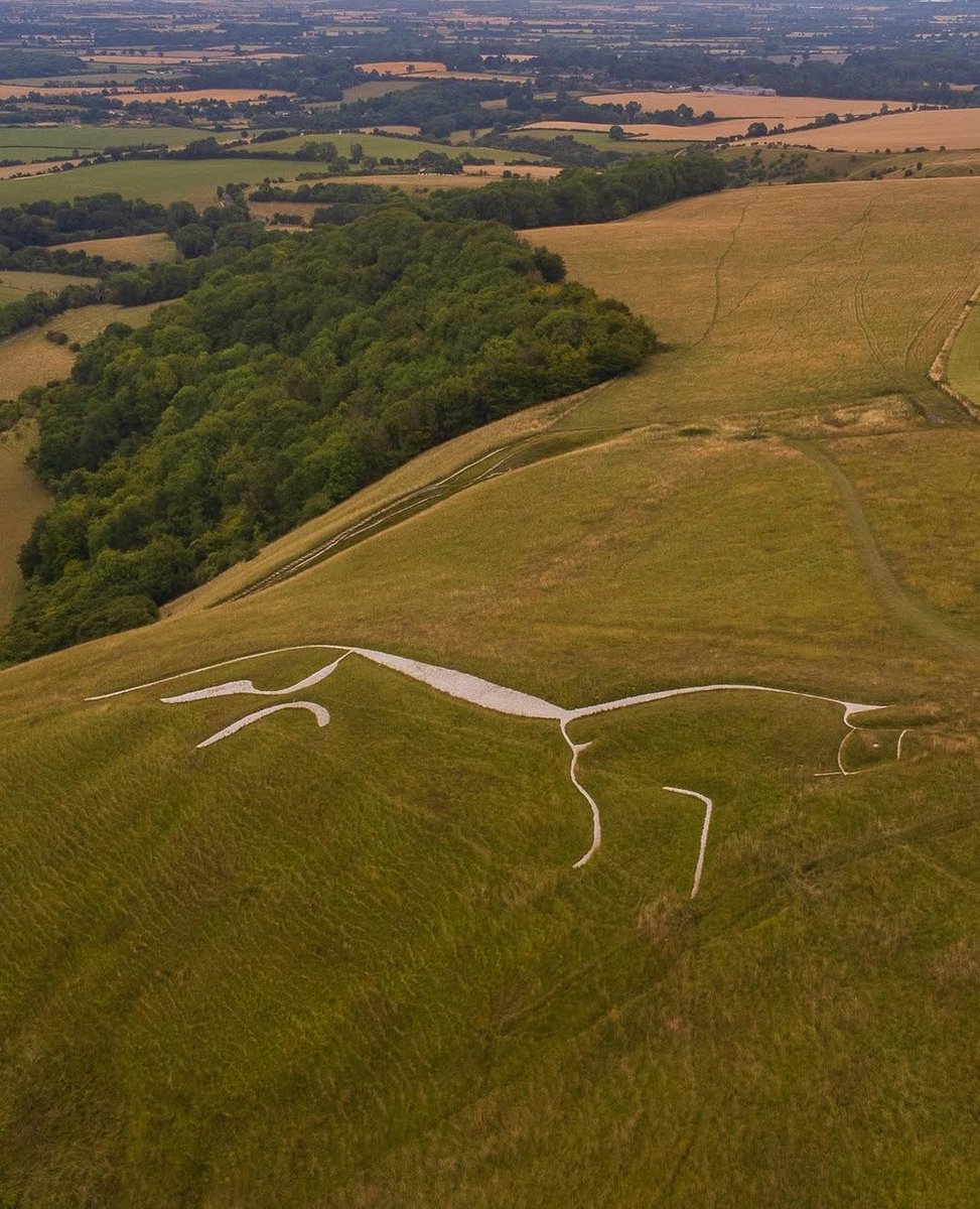 Experience Oxfordshire tweet media
