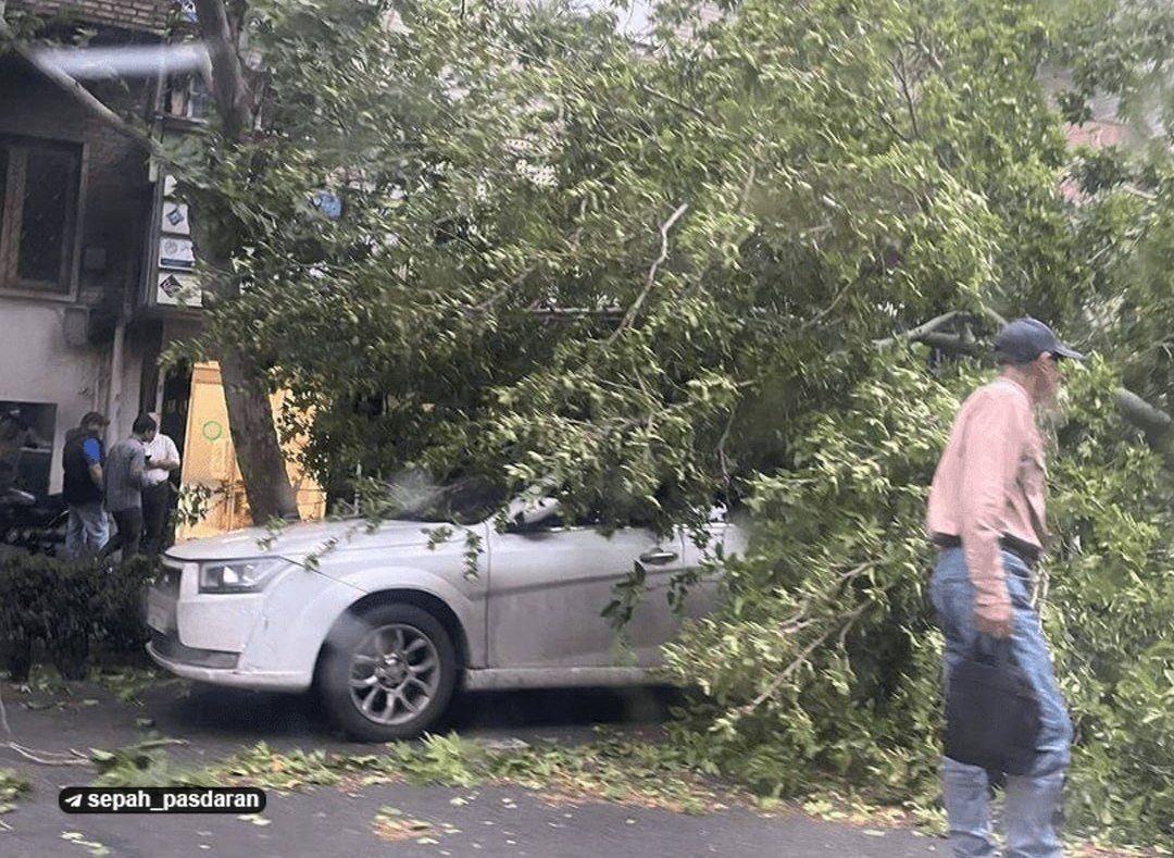 ALIsun_ایران_همدل tweet media