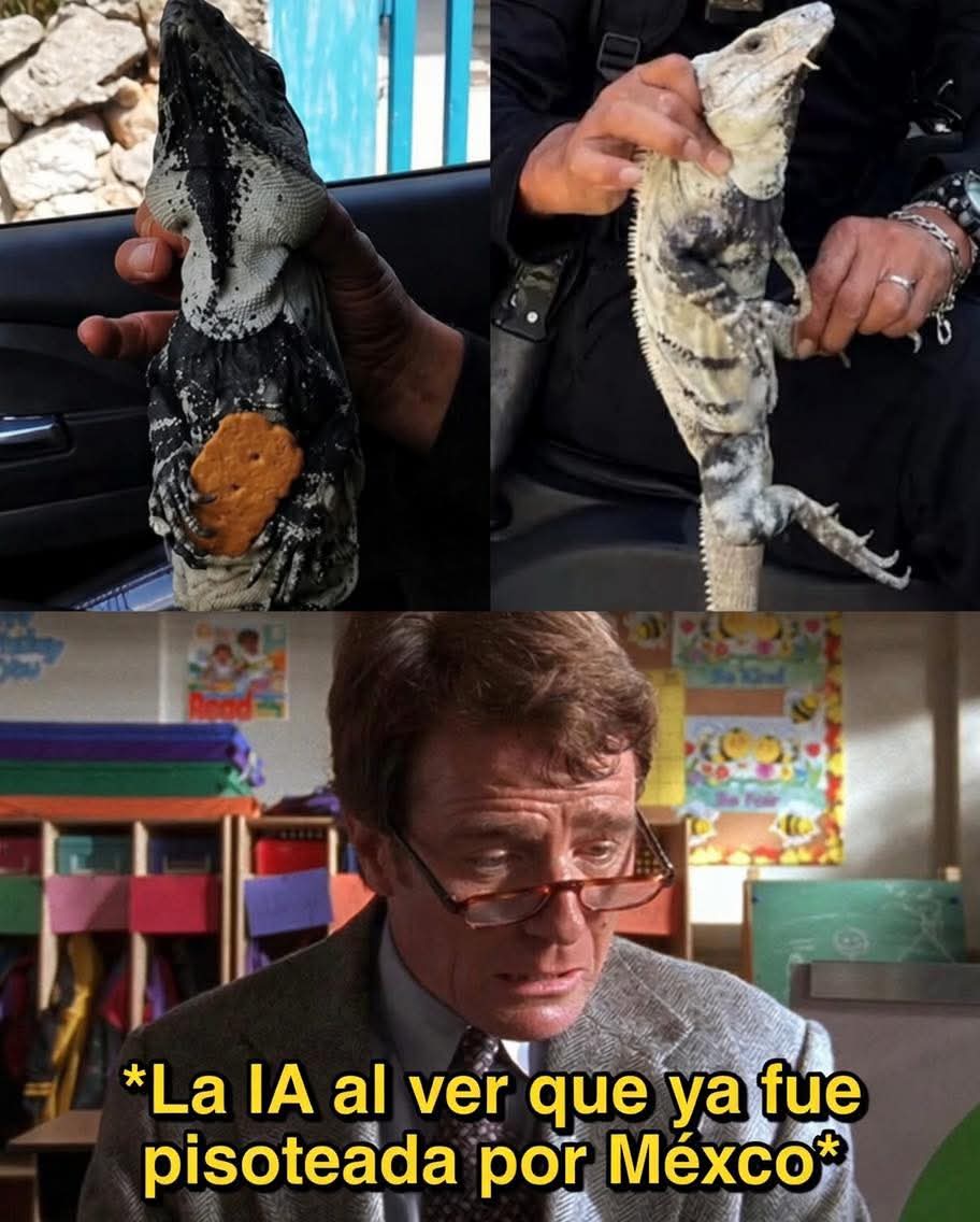 ASÍ CALMARON A UNAS IGUANAS 🍪 🦎 

Vecinos de Tizimín escucharon tanto escándalo que pensaron que era un asalto… pero no. Eran dos iguanas peleándose como si les hubieran robado la novia dentro de una casa.
Obviamente llamaron a la policía. Porque claro, en 2026 ya no sabemos