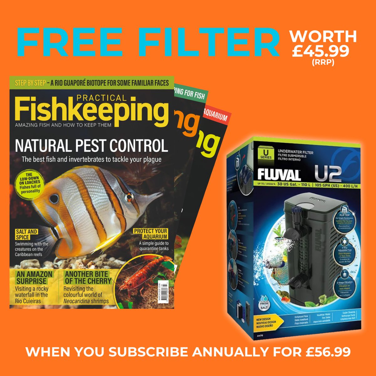 PFKmagazine's tweet image. Join the Practical Fishkeeping community and get a FREE Fluval U2 Filter (RRP £45.99) to keep your tank pristine 🐟✨

👉 Subscribe now: practical.fish/offers26 

T&amp;amp;Cs: New customers only. Annual subscriptions via direct debit. UK only. While stocks last.

#fishkeeping #fishtank