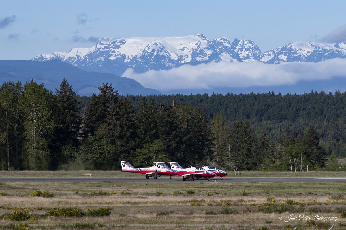 Julie Collis tweet media