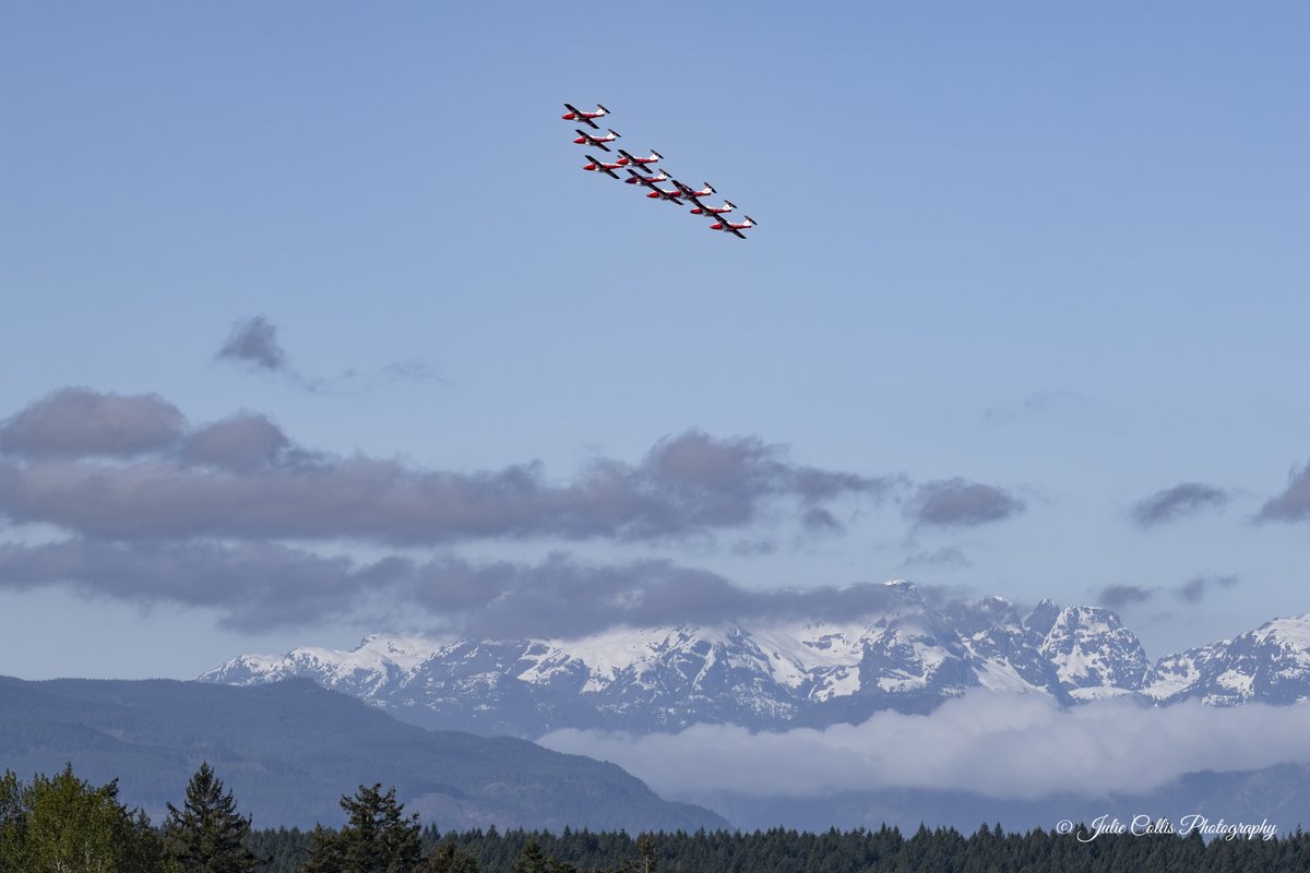 Julie Collis tweet media