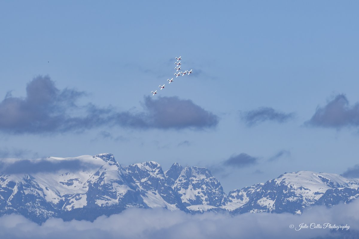 Julie Collis tweet media