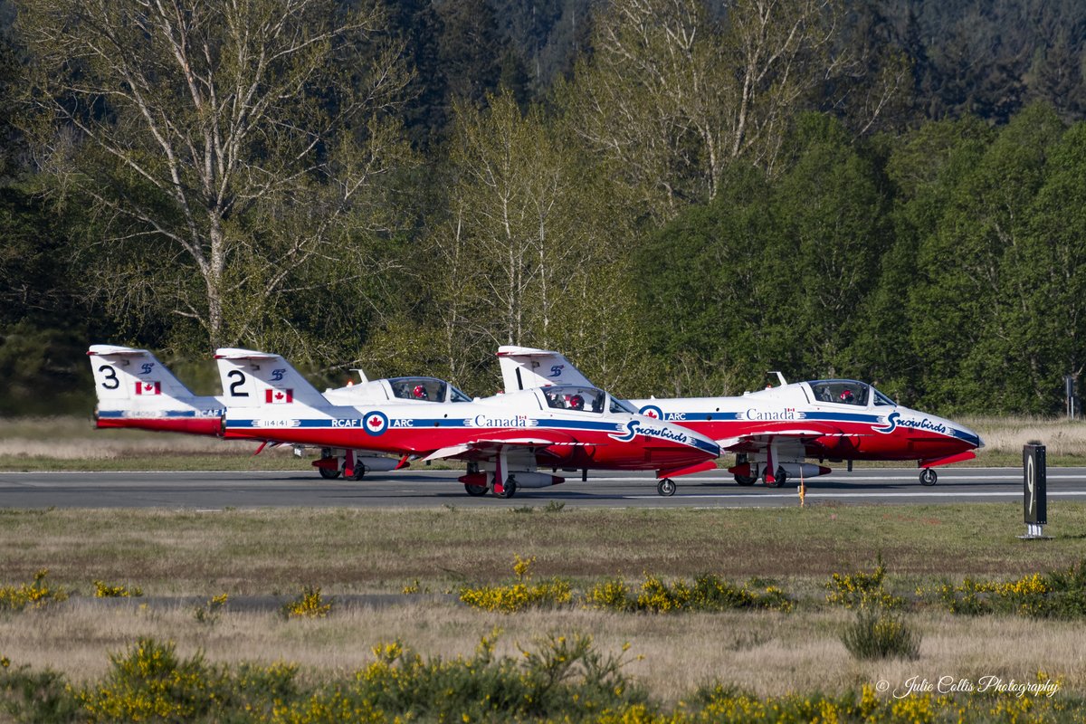 Julie Collis tweet media