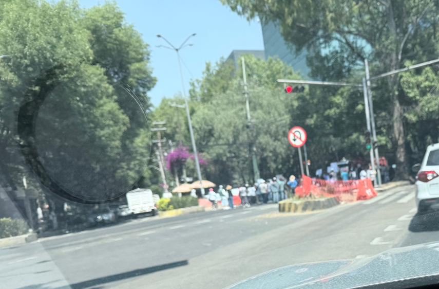 Pipol México tweet media