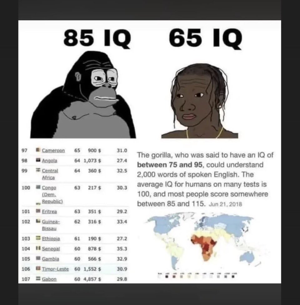 Magadon...47 tweet media