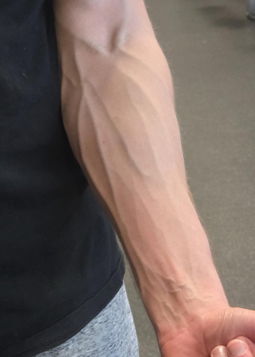 Weaver Whiteheart 🇻🇦 ✝️ V2 tweet media