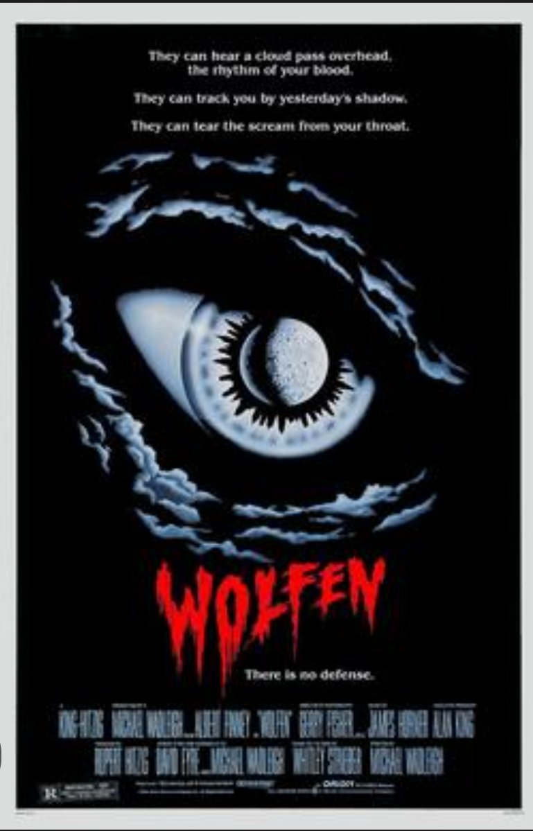 Ann Cope 🏳️‍🌈 🌈🏳️‍⚧️ 🐢🐢 tweet media