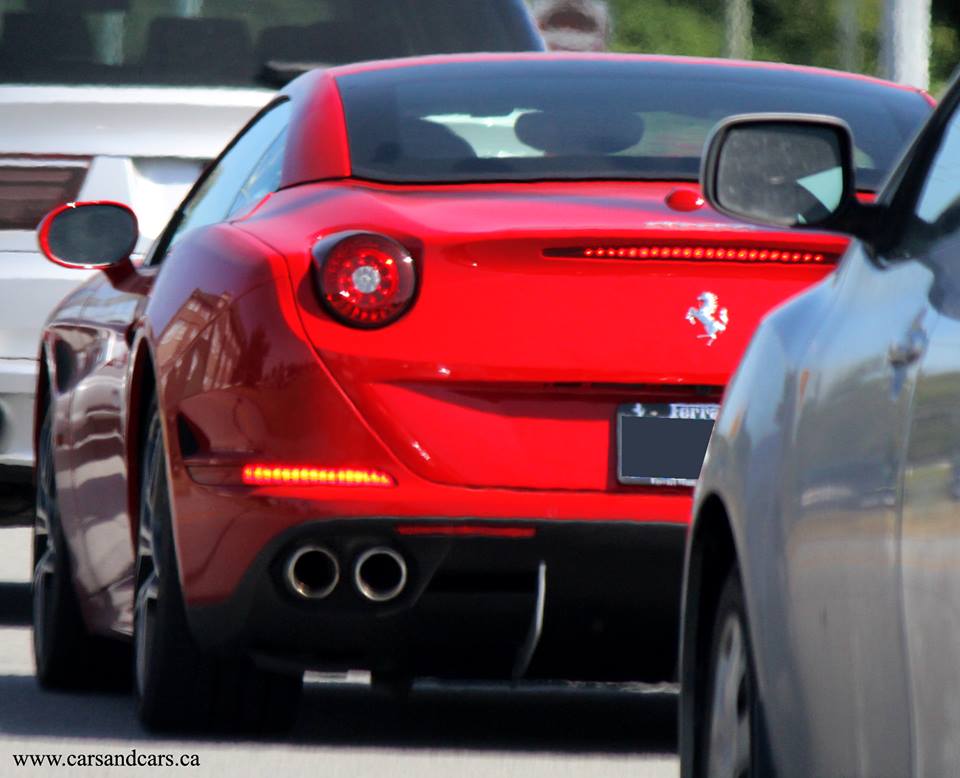 carsandcars_ca's tweet image. Ferrari

 #Ferrari #ItalianCar 
 ferrari.carsblitz.com