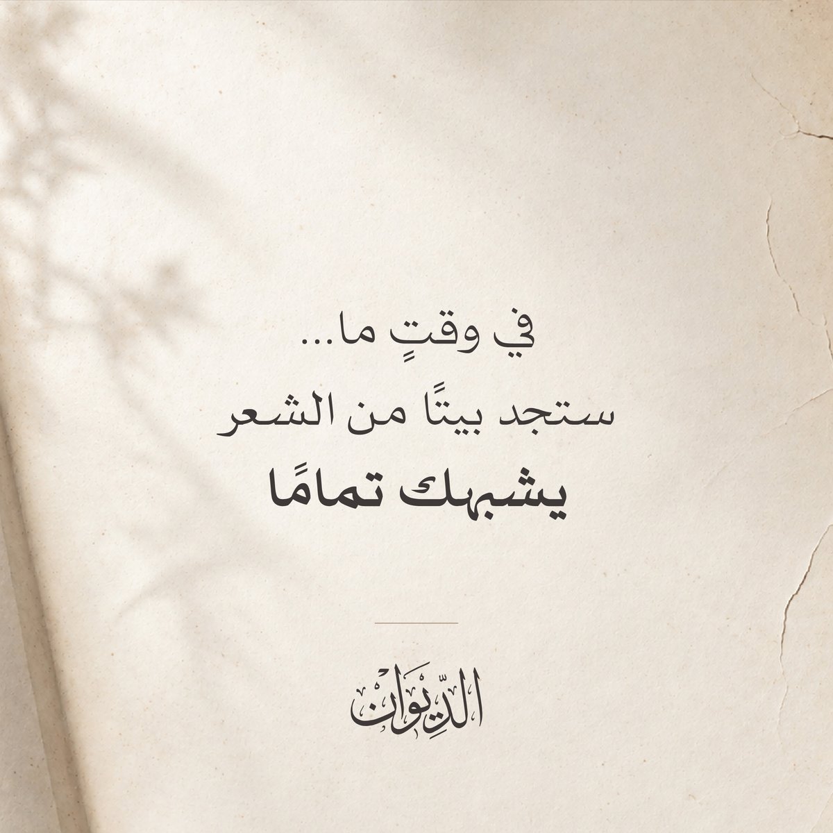 AldiwanNet's tweet photo. https://t.co/kbTiqnzNYd