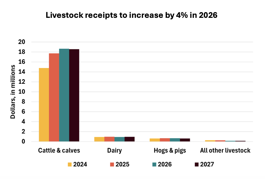 FarmPolicy's tweet image. 1/ #Cash #receipts for #cattle and #calves, which account for 91% of #Kansas’s livestock receipts, are projected to increase by $919 million (5%) to $18.66 billion in 2026.

From the @RaFFfinance: tinyurl.com/29f6rrbh