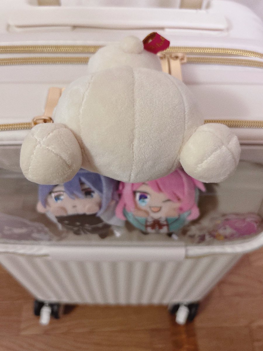 kyomi_jOvOj's tweet photo. 株式会社sifflerシフレ様【@hapi_tas】から『カプセルキャリー スーツケース』を頂きました！

ぬいを可愛く安全に運べる神アイテム𓈒𓂂𓏸
旅先で手が塞がっていてもそのまま撮影ができます⟡.·
早速もちぬい＆アクスタを入れてみました（☟続く）

#シフレで推し活
#のん当選日記 https://t.co/mF7DvCPKfF