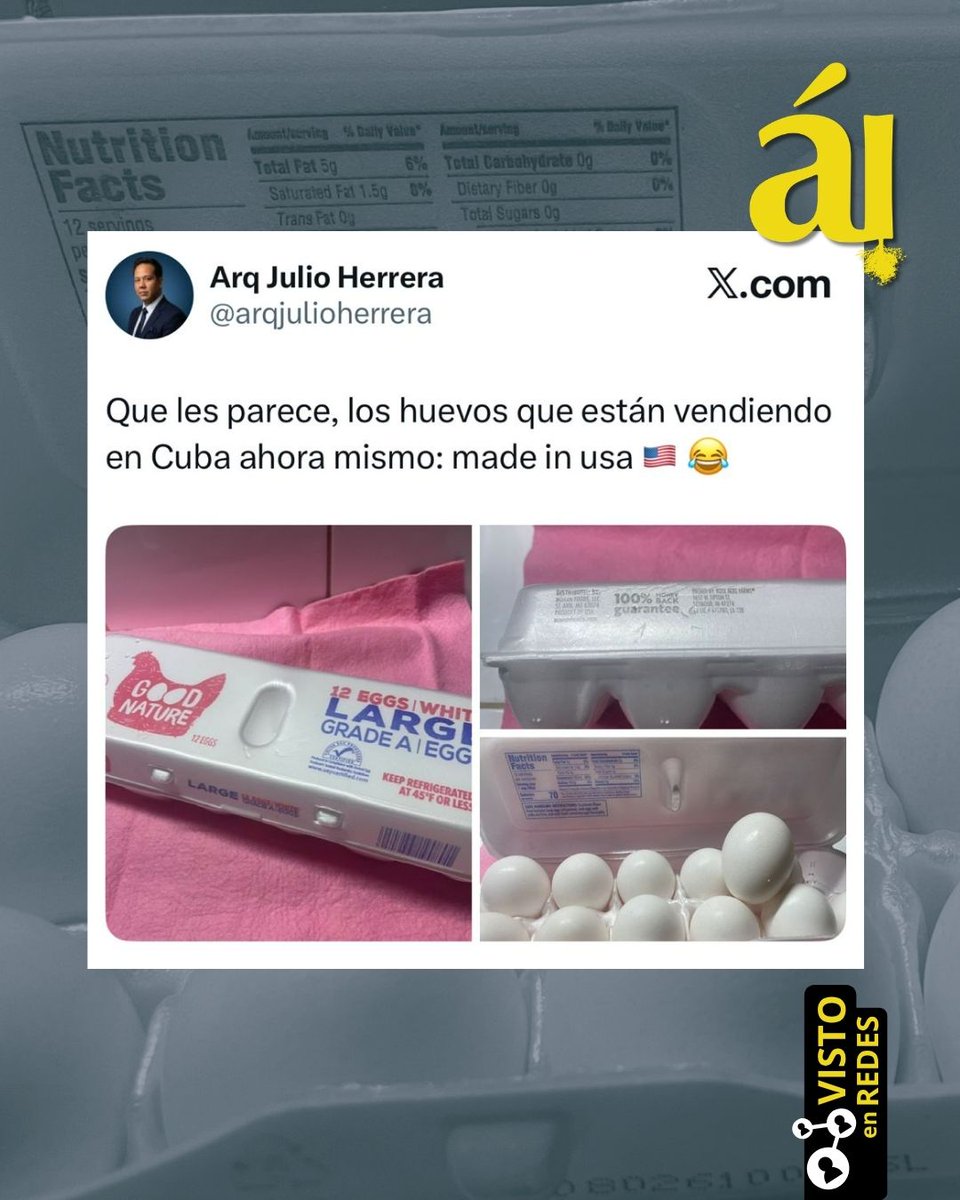 Árbol Invertido tweet media