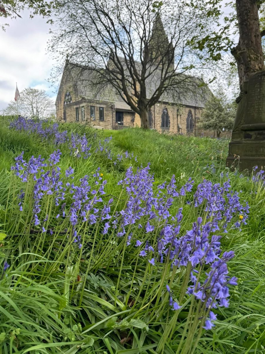 ChaddyChurch's tweet photo. Bluebells in the churchyard. https://t.co/GDdVu1QwcG