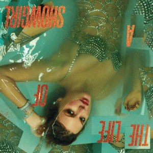 AndreasBVB tweet media