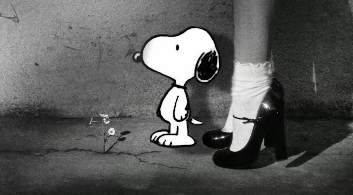 Daily Snoopy tweet media